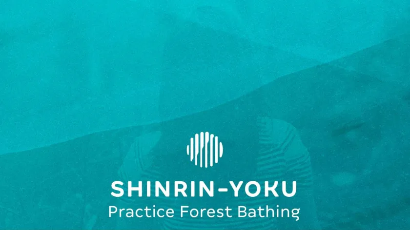 Practice Forest Bathing