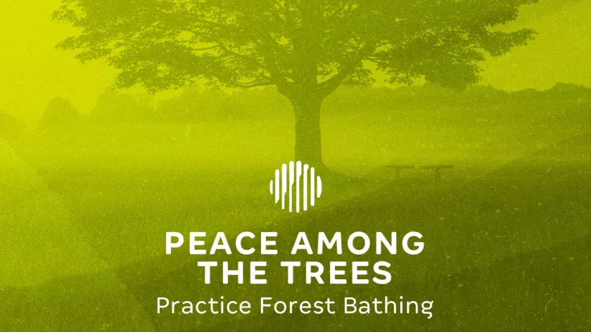 Peace Among Trees